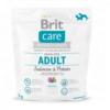 BRIT CARE GRAIN FREE ADULT SALMON 1 KG