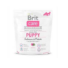 BRIT CARE GRAIN FREE PUPPY SALMON 1 KG