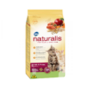 NATURALIS GATO ADULTO SALMON Y FRUTAS 3 KG