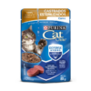 CAT CHOW CARNE 85 GR