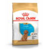 ROYAL CANIN JUN POODLE 3 KG