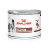 ROYAL CANIN VET RECOVERY CAT/DOG 195 GR