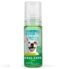 FRESH BREATH INSTANT FOAM 133 ML