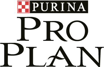 Pro plan