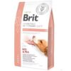 BRIT GF VET DOG RENAL 2 KG